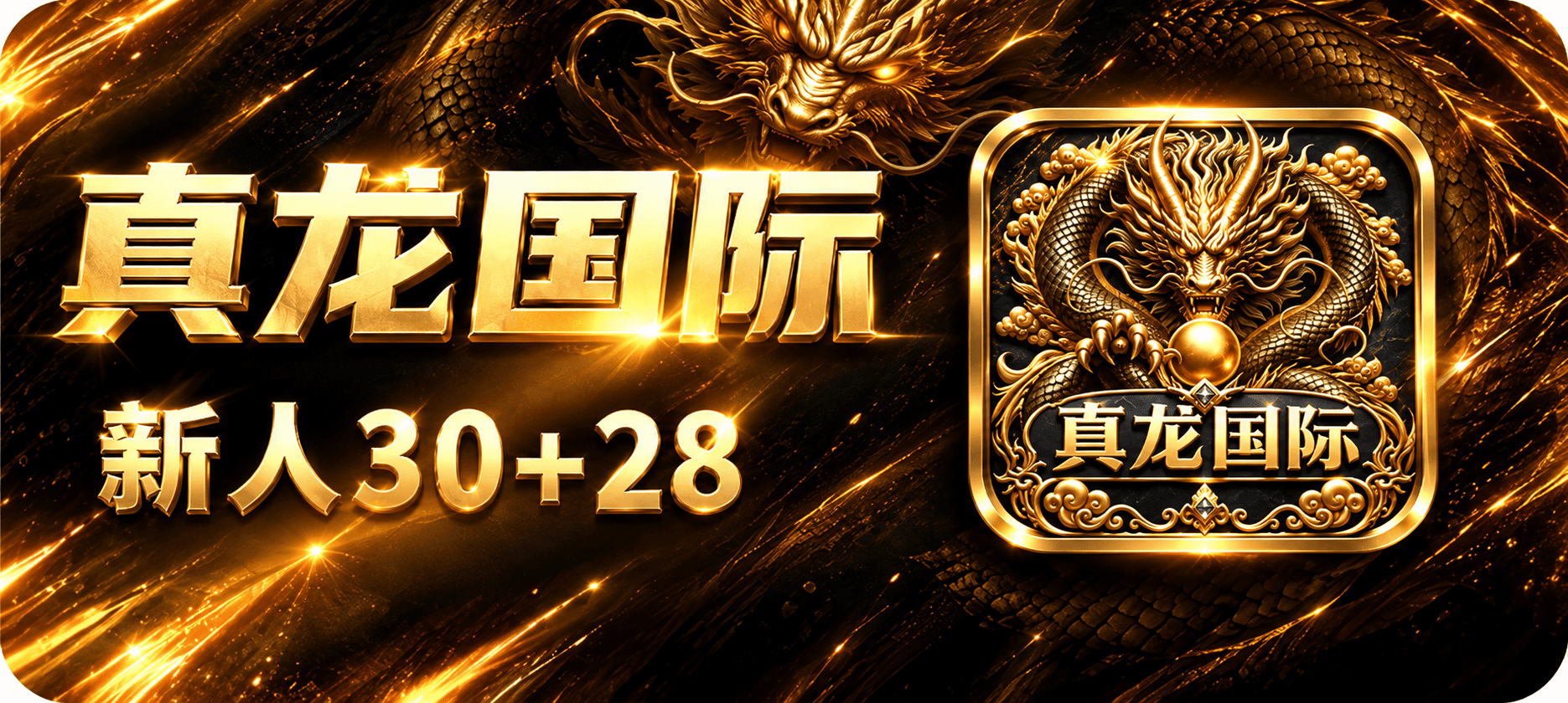 真龙国际